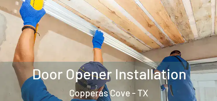  Door Opener Installation Copperas Cove - TX