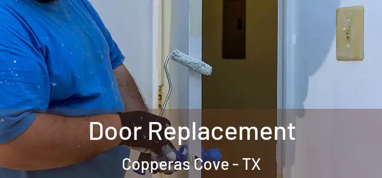  Door Replacement Copperas Cove - TX