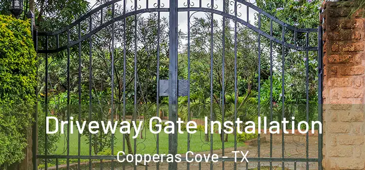  Driveway Gate Installation Copperas Cove - TX