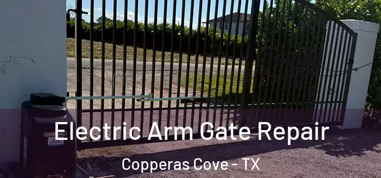 Electric Arm Gate Repair Copperas Cove - TX