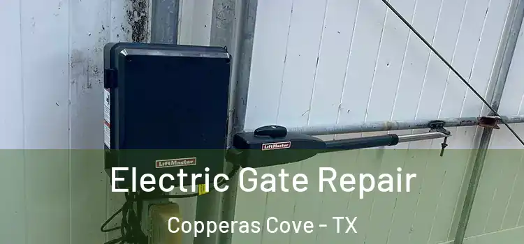 Electric Gate Repair Copperas Cove - TX