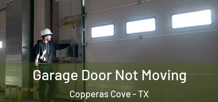  Garage Door Not Moving Copperas Cove - TX