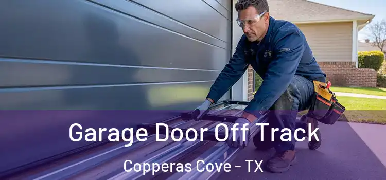  Garage Door Off Track Copperas Cove - TX