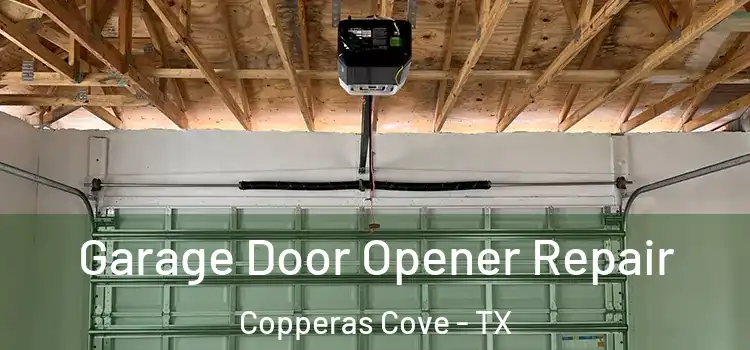  Garage Door Opener Repair Copperas Cove - TX
