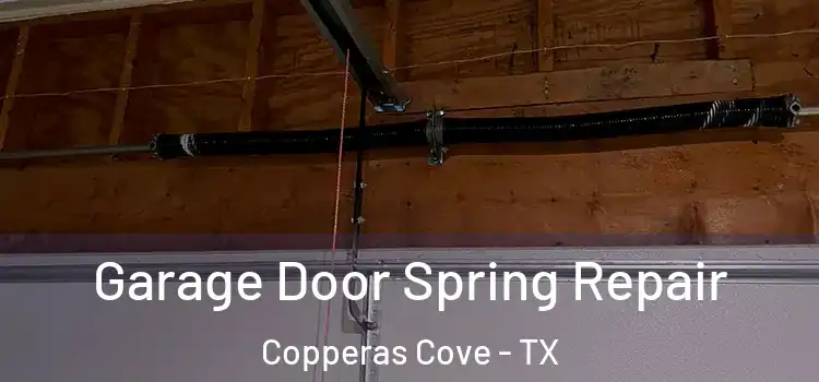  Garage Door Spring Repair Copperas Cove - TX