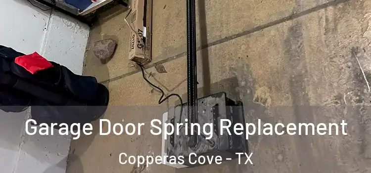  Garage Door Spring Replacement Copperas Cove - TX