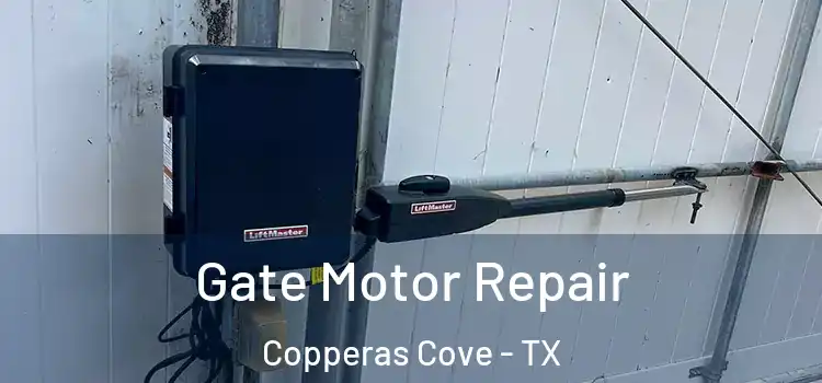 Gate Motor Repair Copperas Cove - TX