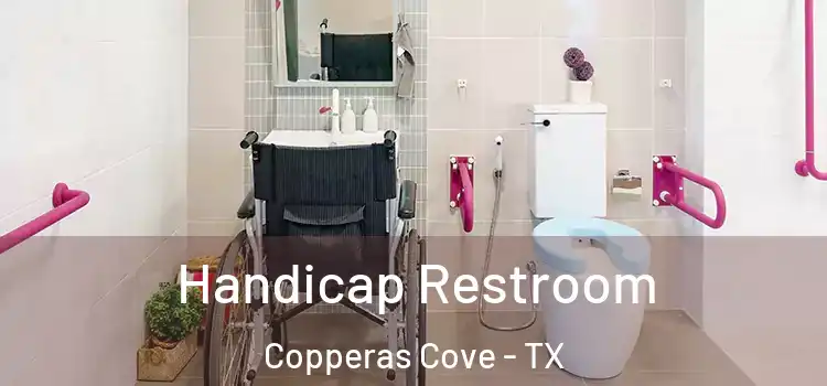 Handicap Restroom Copperas Cove - TX