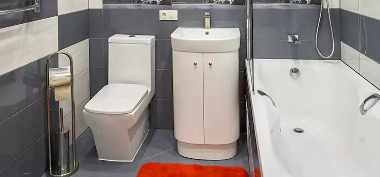 Hansgrohe Shaving Mirror Copperas Cove