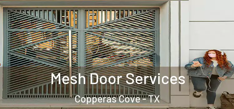 Mesh Door Services Copperas Cove - TX
