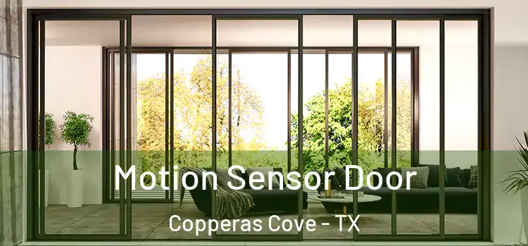 Motion Sensor Door Copperas Cove - TX